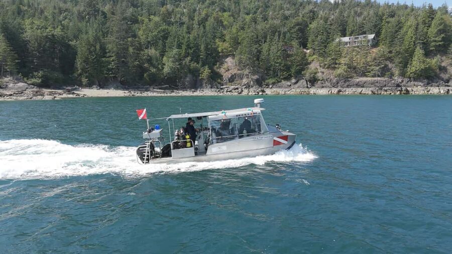 Vancouver UNESCO Biosphere Reserve Wildlife Scenic Boat Tour - Included Food and Drinks: Small Comforts, Real Value
