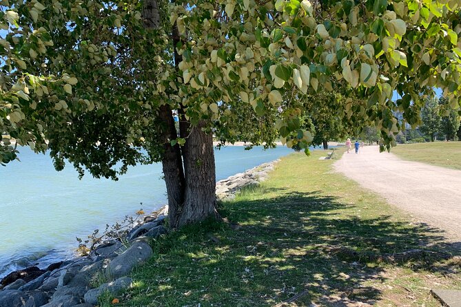 Vancouver Waterfront Guided Bike / Ebike Tour - What Stanley Park looks like from the bike route