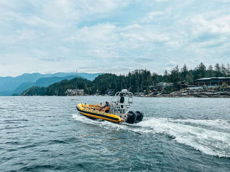 Vancouver: Waterfront Sightseeing Tour - City and Nature - Key points before you go
