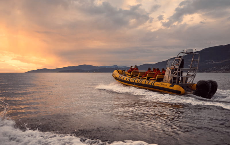 Vancouver: Waterfront Sightseeing Tour - City and Nature - Price value: why $80 can feel fair for 90 minutes