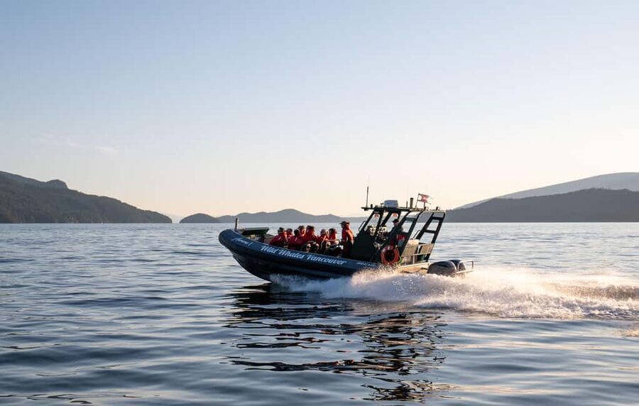 Vancouver: Zodiac Whale Watching Tour from Granville Island - Wildlife Watching That’s Built Around Spotting, Not Just Hope