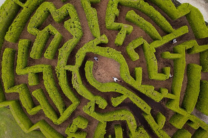 VanDusen Botanical Garden Admission Ticket - 7,500+ Species of Native and Exotic Plants: Why It Feels Like Multiple Gardens