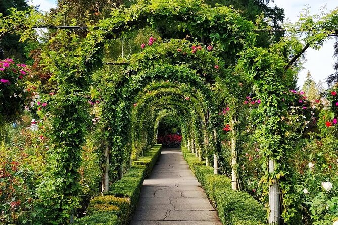 Victoria 1-Day Tour From Vancouver (Butchart Gardens) (Chn&Eng) - Parliament, Museum, and Chinatown Corners: Victoria’s Real-World Texture