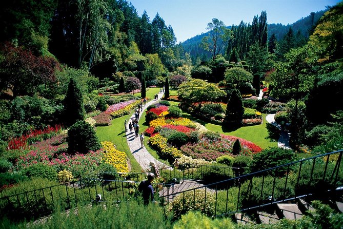 Victoria & Butchart Gardens Tour with Ferry from Vancouver - The Gulf Islands ferry: your moving front-row seat