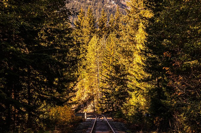 Waterfalls to Whistler Private Tour One Way - Included vs not included: where the real value sits