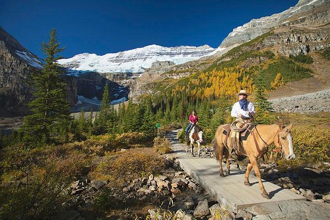 Western Trails - One Way Vancouver To Calgary Rockies Bus Tour - Price and What You’re Actually Paying For