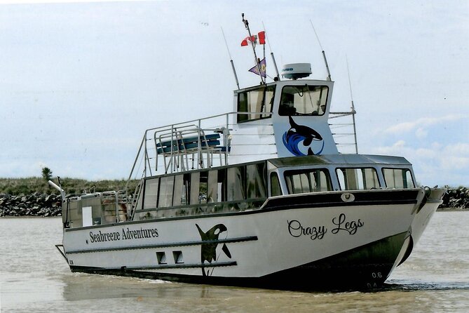 Whale Watching Adventure from Vancouver BC - Meet your naturalist: turning sightings into real understanding