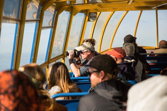 Whale-Watching Tour from Vancouver - Deck time, weather, and how to keep your view