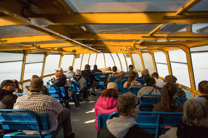 Whale-Watching Tour from Vancouver - Who should book (and who might want to plan extra)