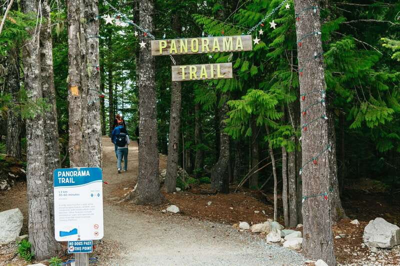 Whistler, Sea to Sky Gondola, and Shannon Falls Day Trip - Who This Tour Fits Best (and Who Might Prefer Going Solo)