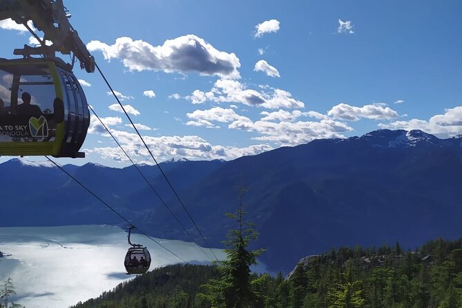 Whistler Sightseeing & Sea to Sky Gondola Tour from Vancouver - Shannon Falls: The Short Stop That’s Actually a Stop