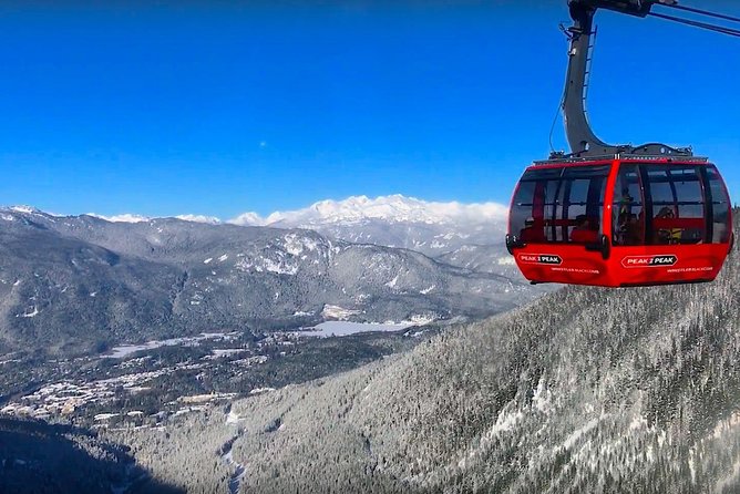 Whistler Sightseeing Tour from Vancouver: See Horseshoe Bay and Shannon Falls - Shannon Falls Provincial Park: The Short Hike to a Big Waterfall