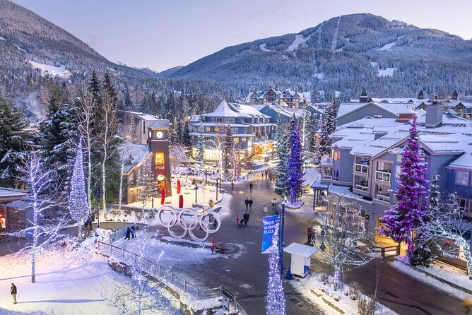 Whistler, Squamish Canyon Walk & Mamquam Falls - A single-day sweep: Vancouver, the rainforest, and Whistler Village