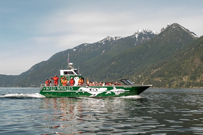Wild Whale Watching Experience - Open Air Vessel - Key things that make this whale watch worth your time