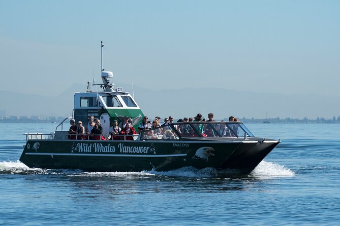 Wild Whale Watching Experience - Open Air Vessel - Price and value: what $169.74 is buying you